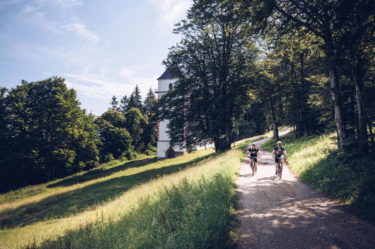 Pohorje Village Wellbeing Resort - Wellness & Spa Hotel Bolfenk Maribor Exterior foto